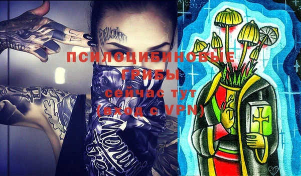 шишки Алексин