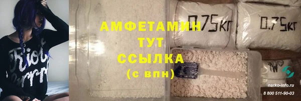 шишки Алексин