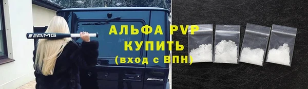 сатива Алзамай