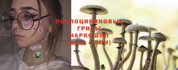 сатива Алзамай