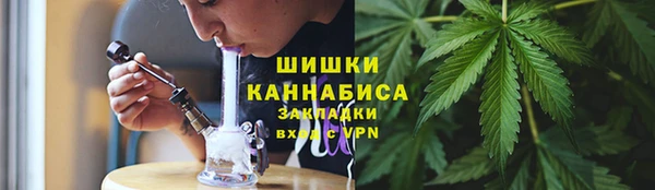 сатива Алзамай